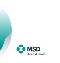 MSD Animal Health België